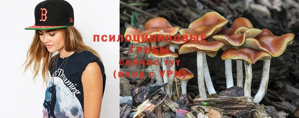 хмурый Протвино