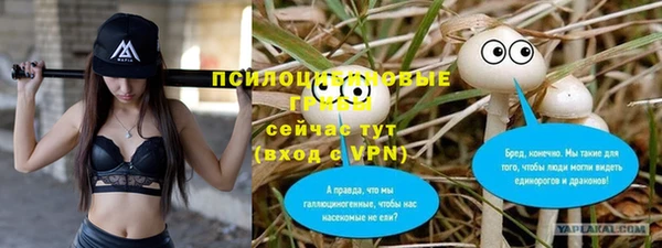 хмурый Протвино