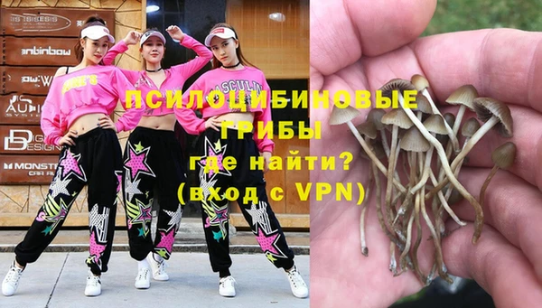 стафф Заводоуковск