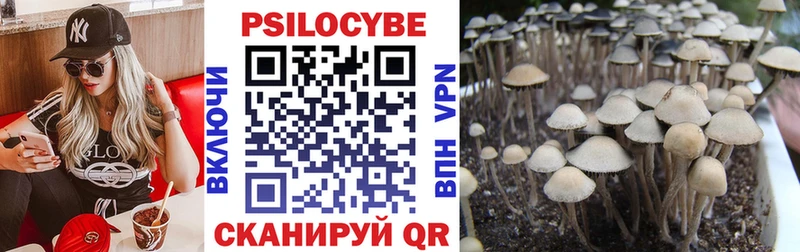 дарк нет наркотические препараты  Среднеуральск  Псилоцибиновые грибы GOLDEN TEACHER 
