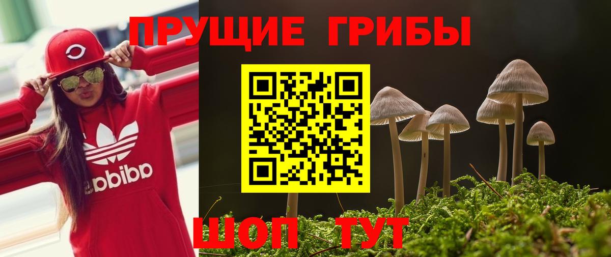 Галлюциногенные грибы ЛСД  Вход с VPN  Среднеуральск 